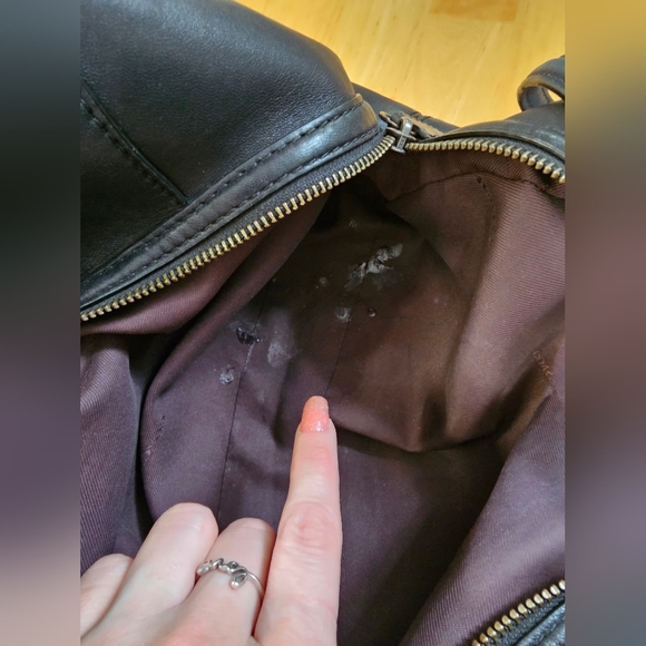 Coach - Picture 10 of 15